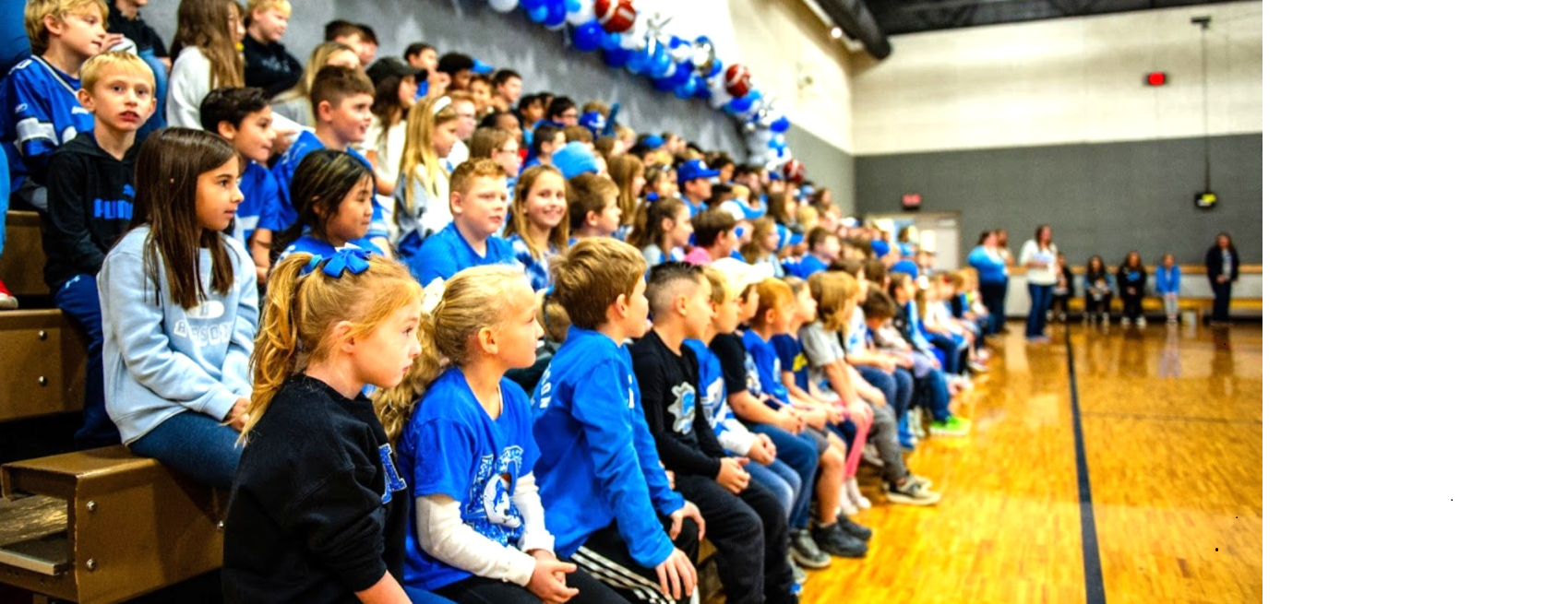 Background image for Blog section