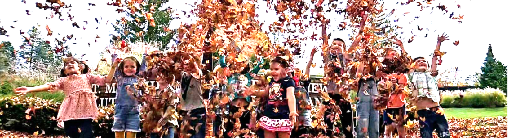 Background image for Highlights section